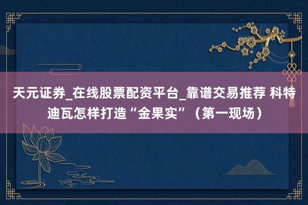 天元证券_在线股票配资平台_靠谱交易推荐 科特迪瓦怎样打造“金果实”（第一现场）