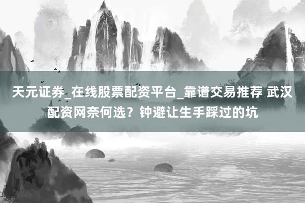 天元证券_在线股票配资平台_靠谱交易推荐 武汉配资网奈何选？钟避让生手踩过的坑